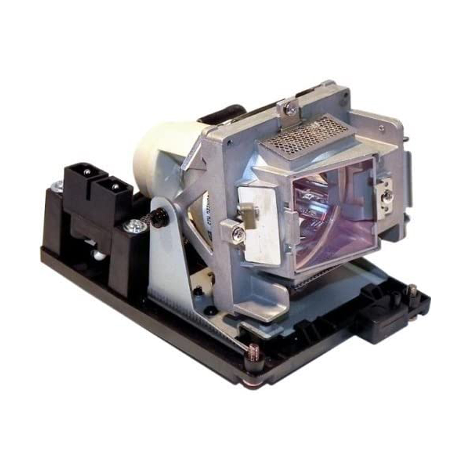 PRM35-LAMP-BTI