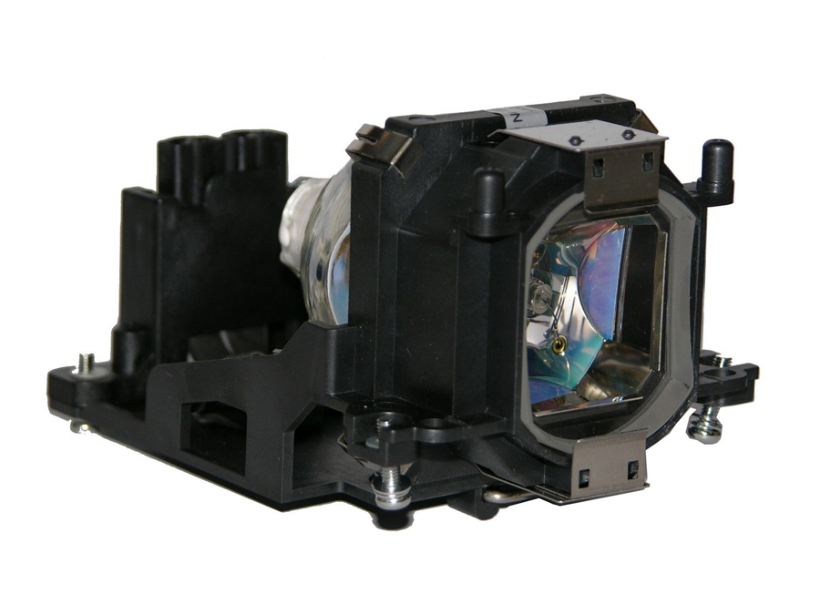 PRM35-LAMP-OE
