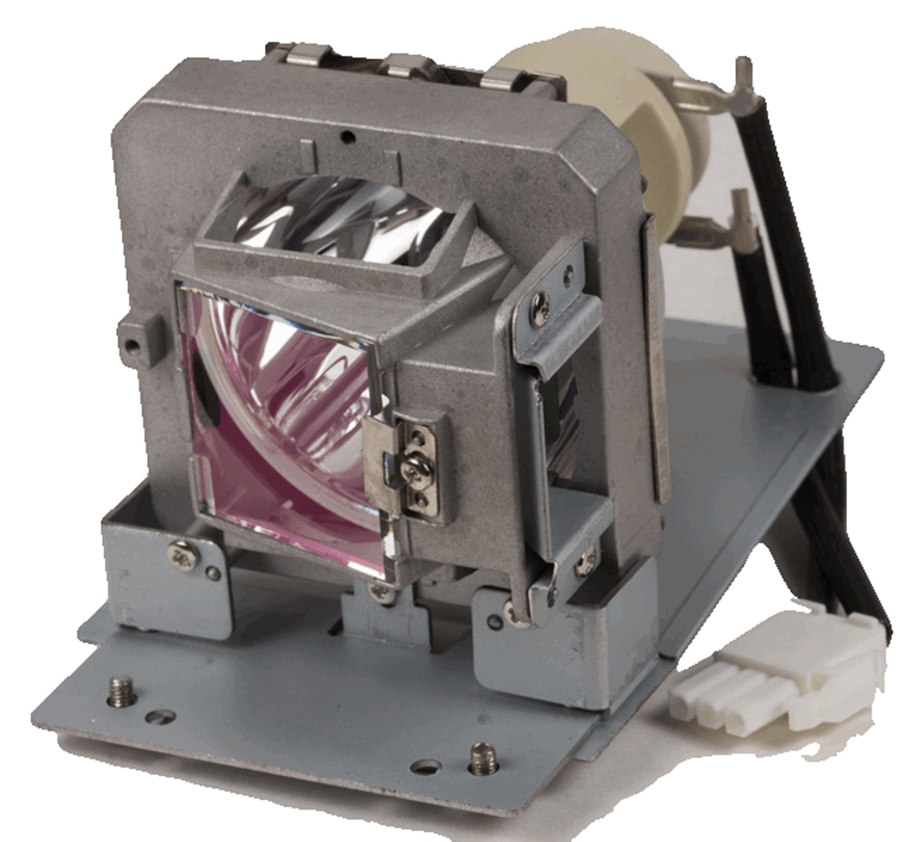 PRM45-LAMP-BTI