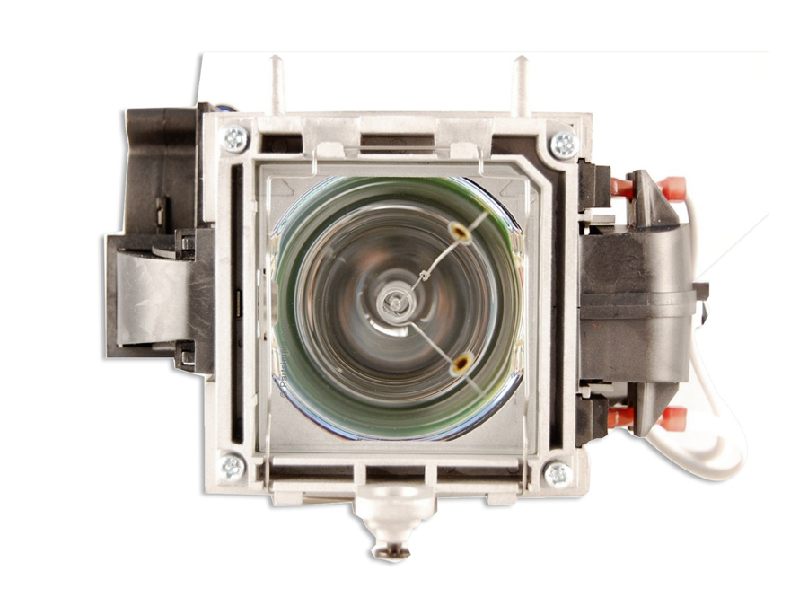 SP-LAMP-006-OE