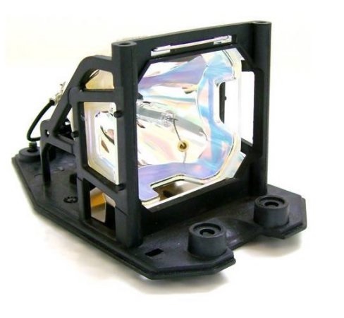 SP-LAMP-007-OE