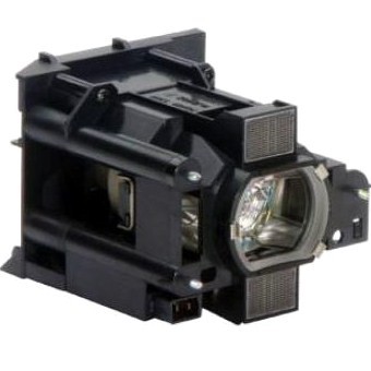 SP-LAMP-081-OE